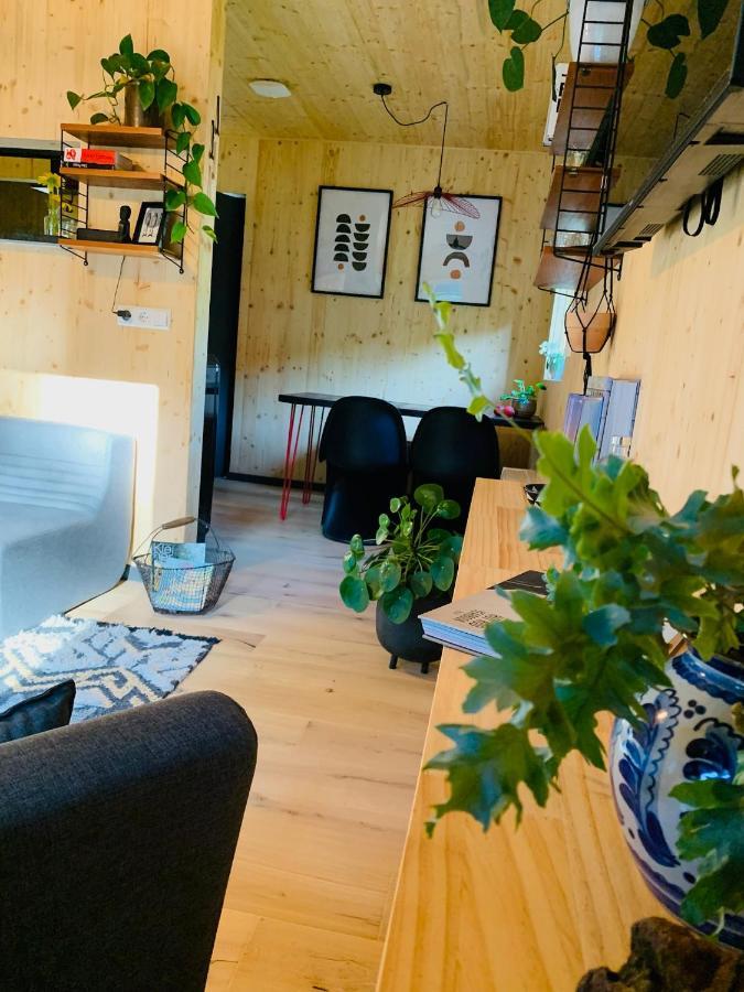 Bergatreute Hjem - Tiny Homes Direkt Am Wald Zwischen Allgaeu & Bodensee מראה חיצוני תמונה
